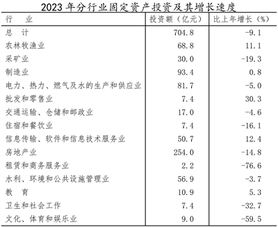 大同市2023年軟件和信息技術(shù)服務(wù)業(yè)投資與管理發(fā)展分析
